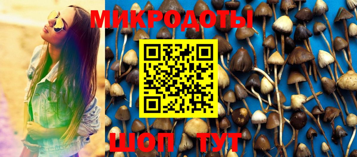 Галлюциногенные грибы MAGIC MUSHROOMS Советский